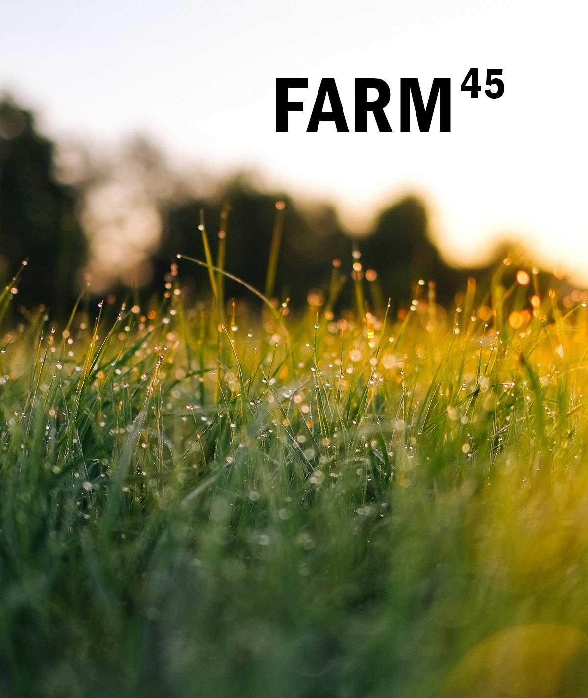 Farm45: el mercado online de alimentos procedentes de  la agricultura y ganadería regenerativa