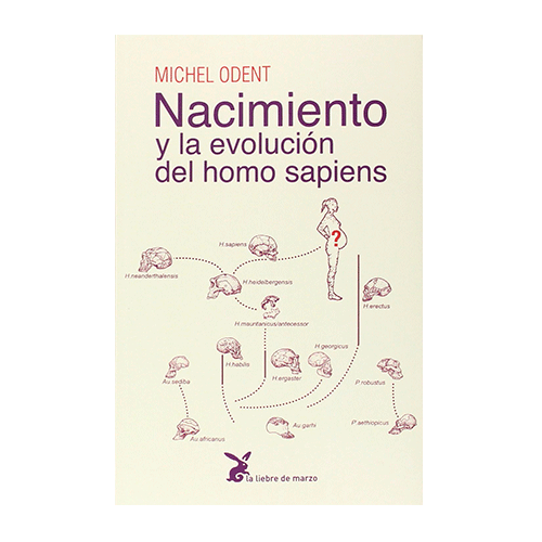 Nacimiento y la evolución del homo sapiens