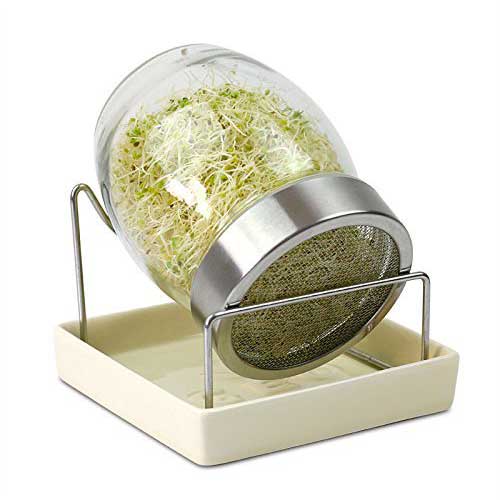 Tarro germinador