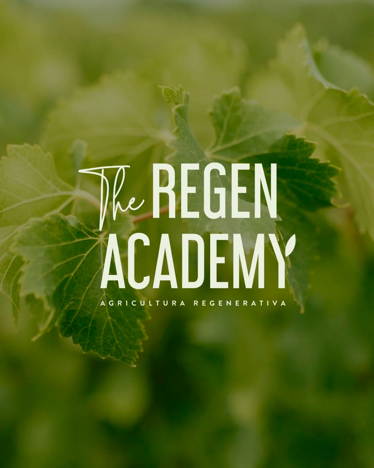 The Regen Academy: la escuela online de agricultura regenerativa