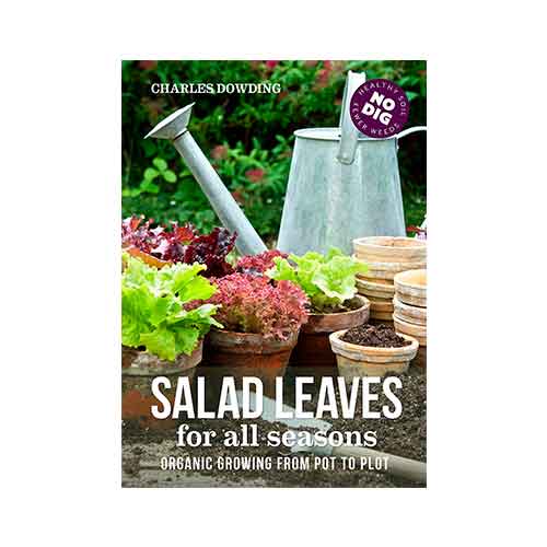 Salad Leaves for All Seasons